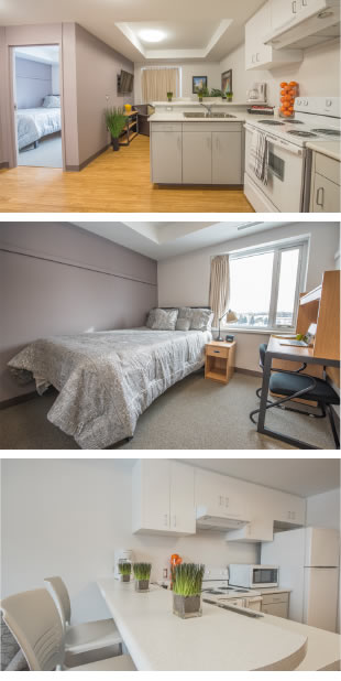 Suite-style kitchenette; bedroom featuring single bed and desk; breakfast bar in kitchen.